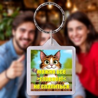 Можно всё - Брелок Флэтзи со своим видео Можно всё - Брелок Флэтзи со своим видео